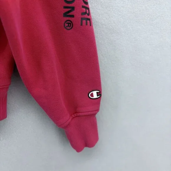 Champion Super Fleece 2.0 Behind The Label 1919 Hoodie Sweatshirt, Men's Medium - Picture 4 of 12